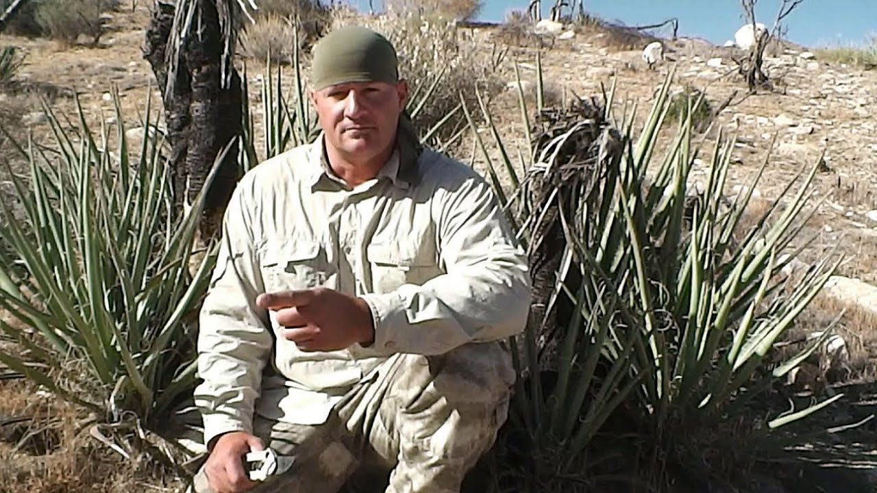 Mojave Yucca (Leaf) Soap