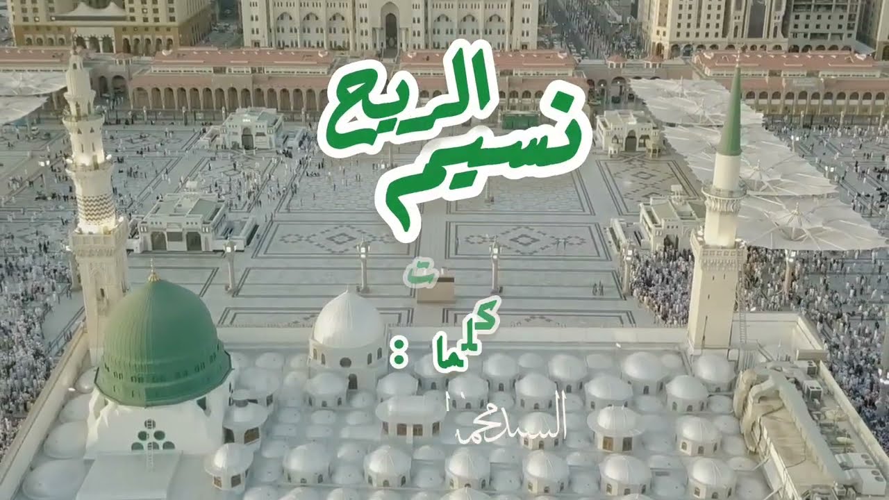نسيم الريح -بصوت المحب عبد الناصر روابح للسيد محمد الزبير حساني حفظه الله تعالى 