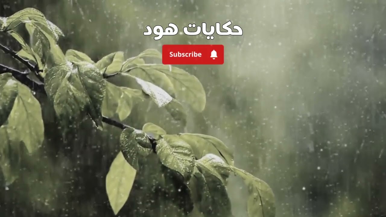 شوووف على كااا..ر.ثة دار هاد السيد 🔥