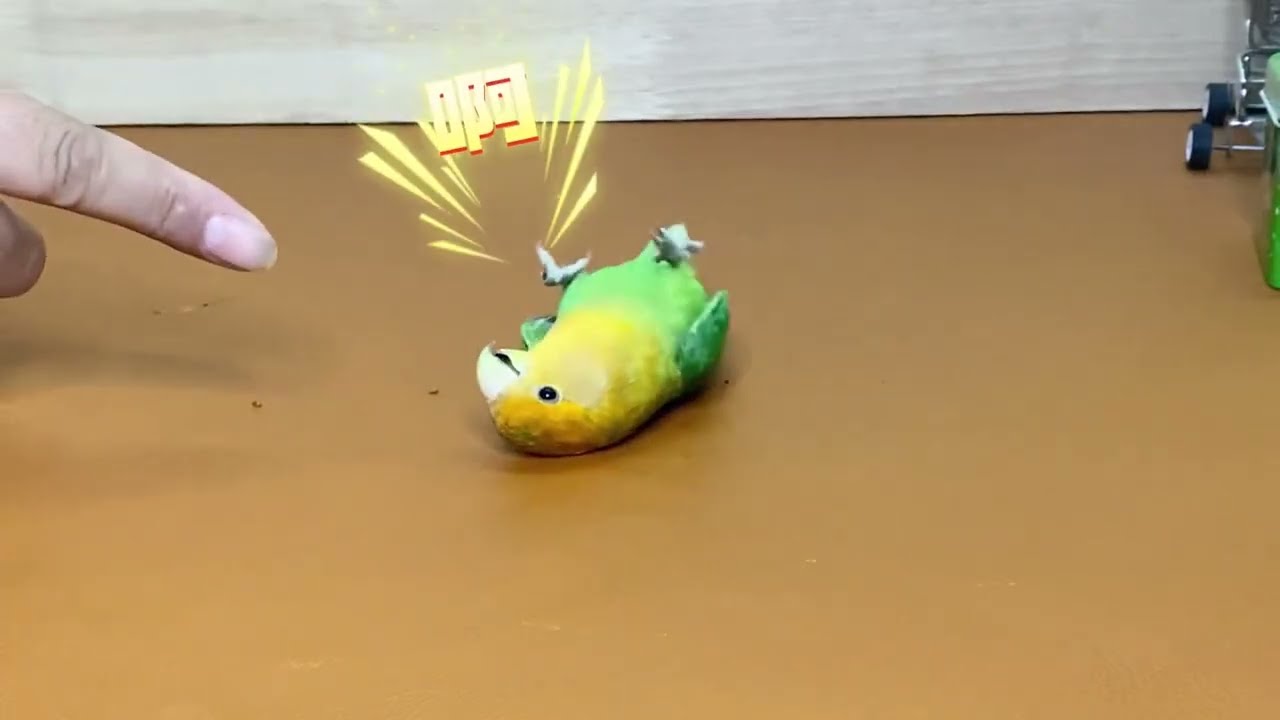 smart parrot Bird #smartparrot