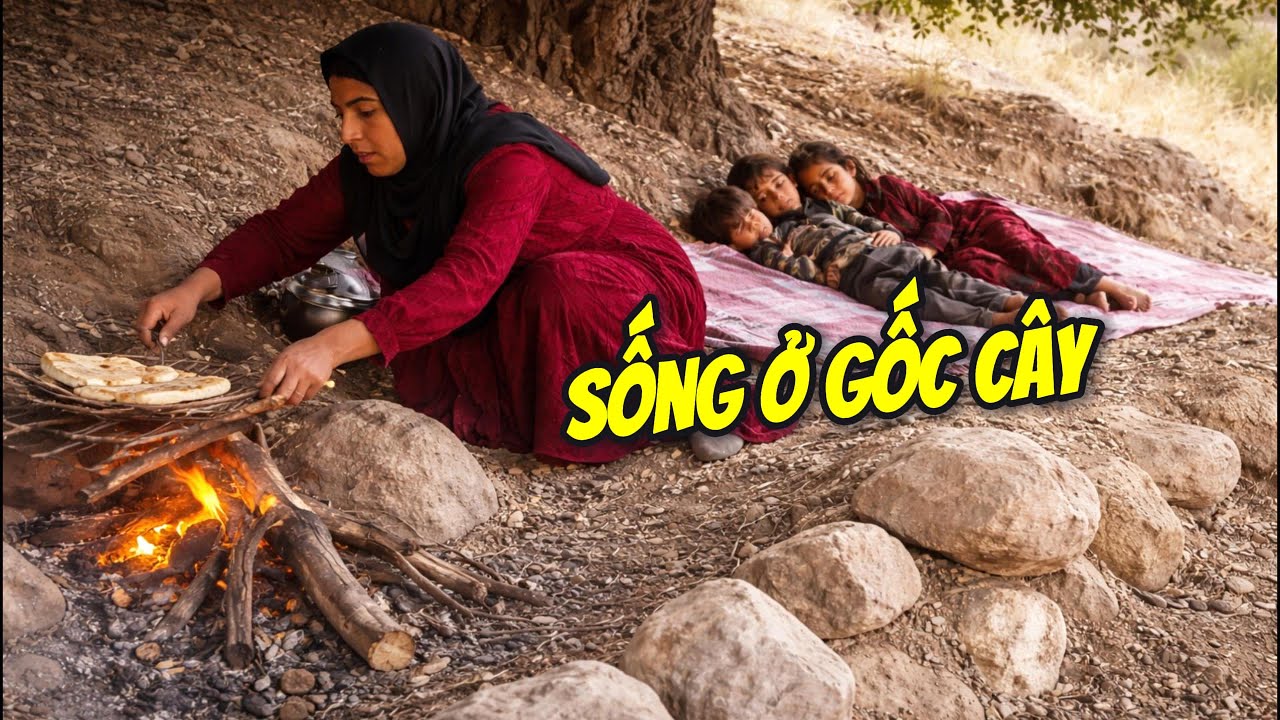 Mẹ Trẻ Đơn Thân Iran Nuôi 3 Con Sống Dưới Gốc Cây Giữa Hoang Dã