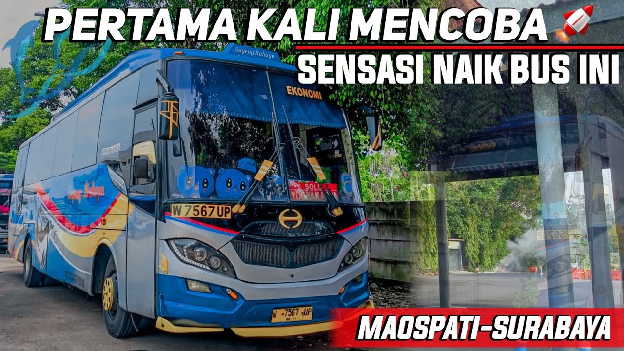 PERTAMA KALINYA NAIK LUMBA LUMBA 🐬🐬 Naik Bus Sugeng Rahayu Yogyakarta - Surabaya | MAZA