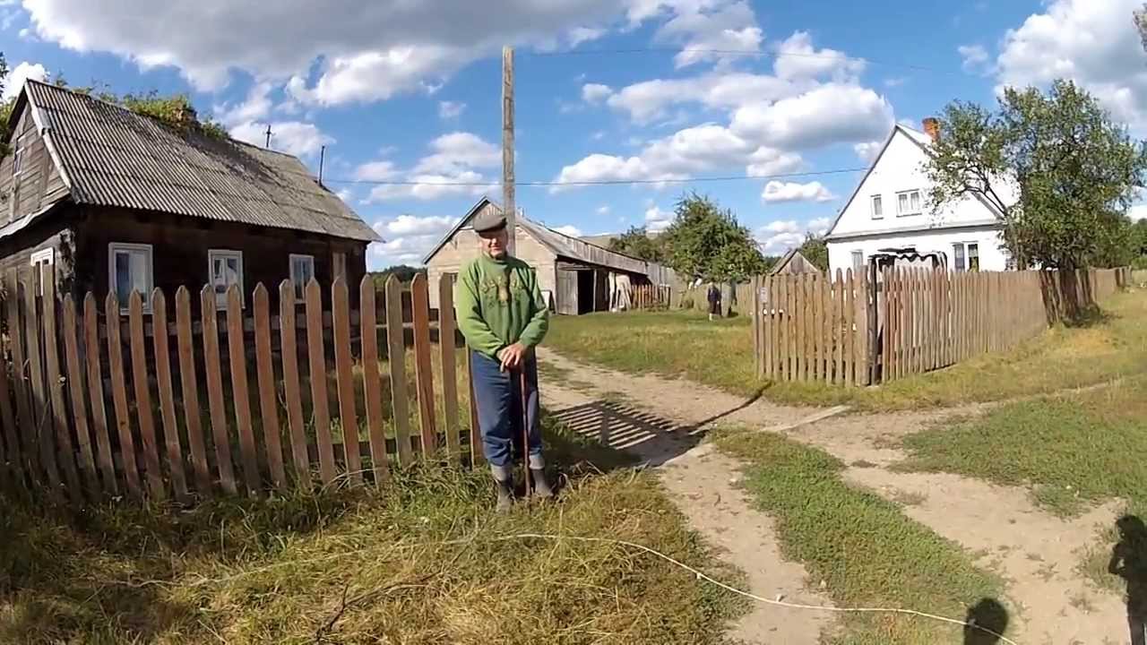 Puszcza Białowieska | Wycieczka na granicę polsko-białoruską