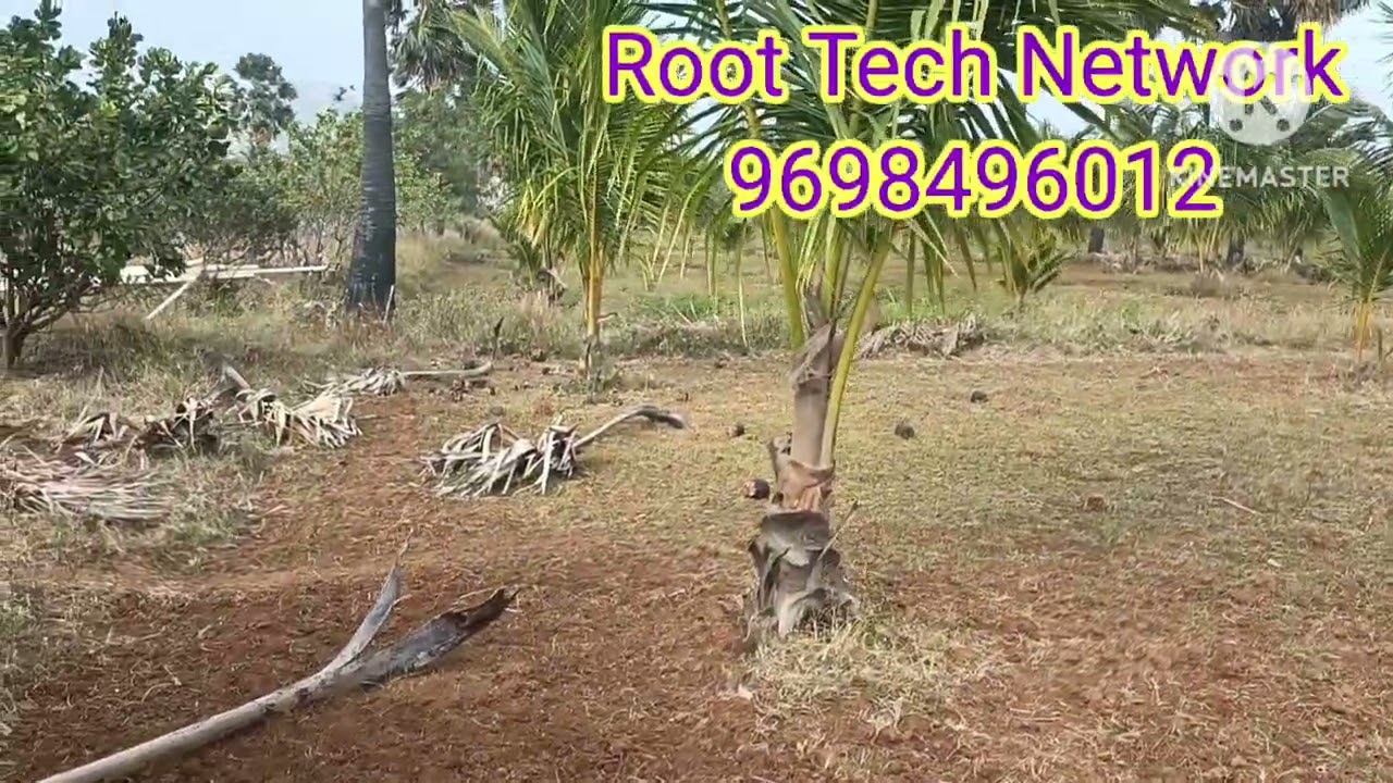 Deal - 677.    5.30 Acre's  Coconut 🌴 Property. Anjugramam.