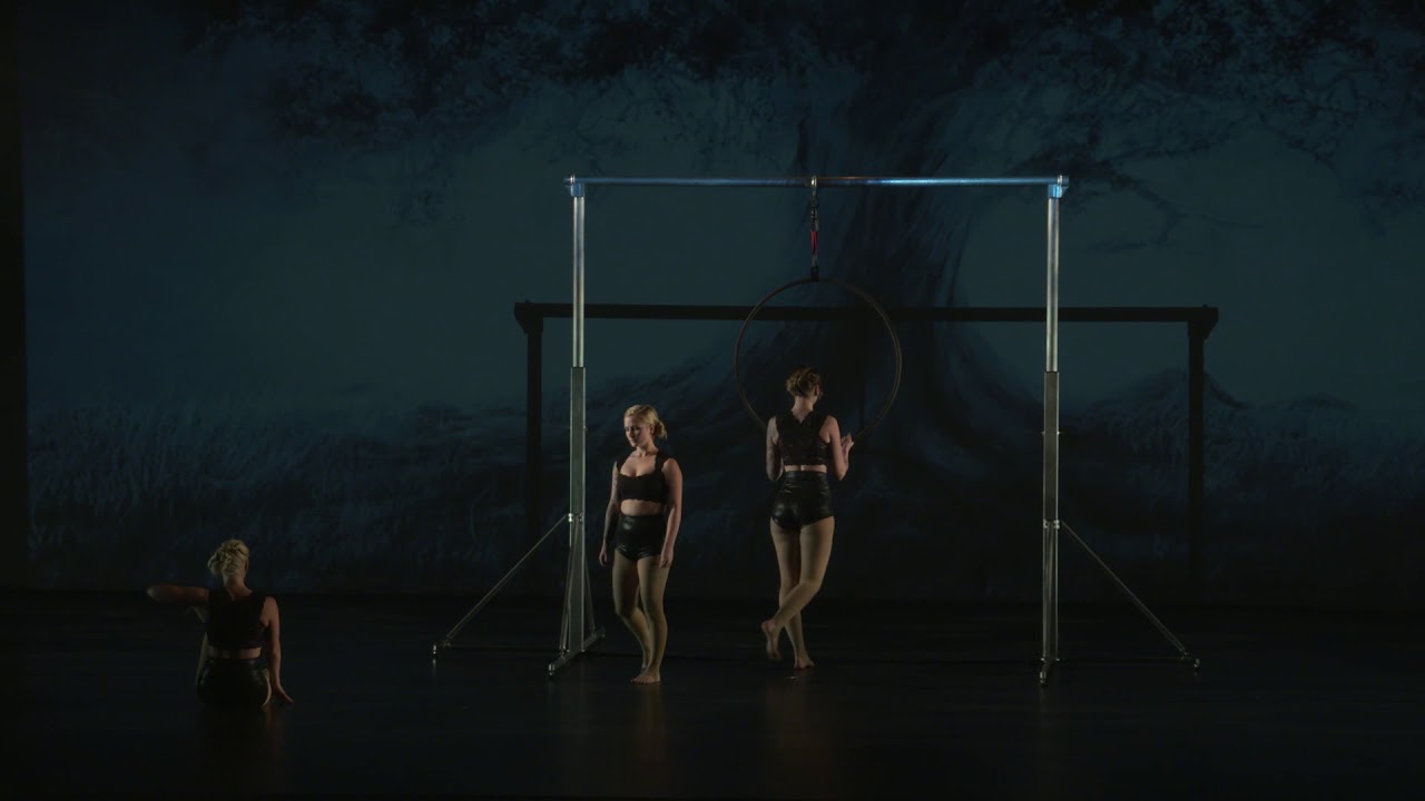 Hanging Tree - Adult Aerial Hoop Performance
