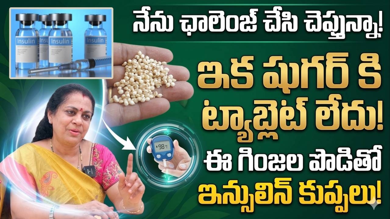 Dr. Velanki Janaki - దెబ్బకి షుగర్ జీవితంలో రమ్మన్నా రాదు | Diabetes control Tips Telugu | PlayEven