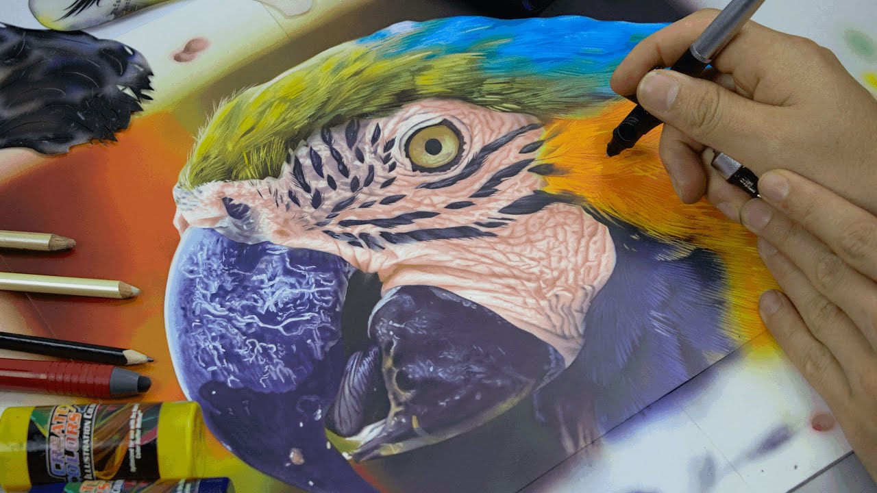 Curso de aerografia online * Grabado*  I LA GUACAMAYA