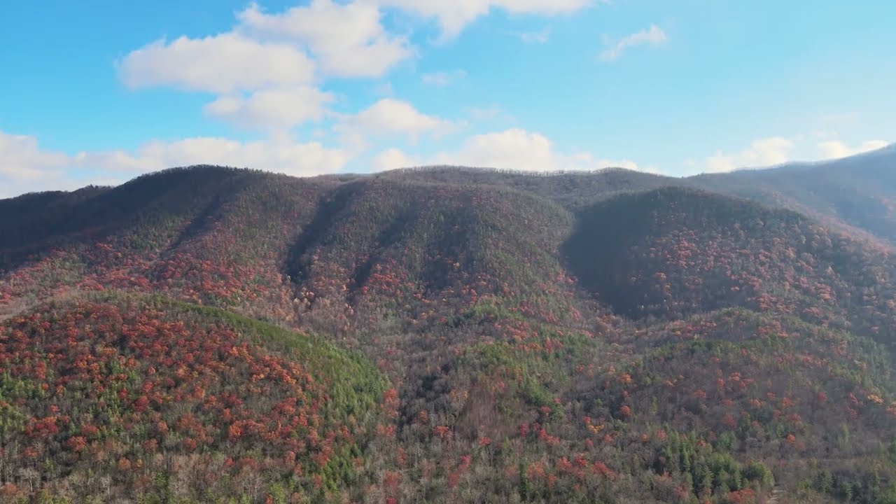4K Drone Footage: Tellico Plains, Tennessee in Peak Autumn Color