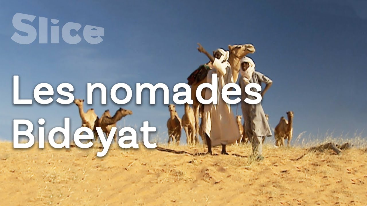 Les crocodiles secrets du désert Ennedi I SLICE
