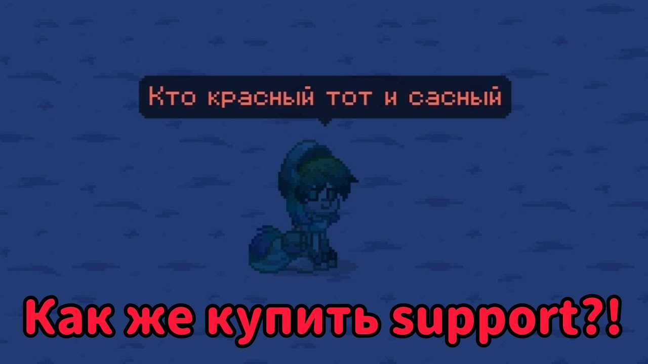 |Пони Таун|Гайд как купить сапортера| #ponytown #понитаун #гайд