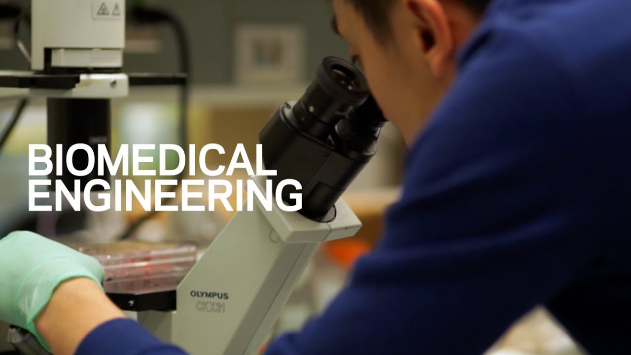 Biomedical Engineering at Columbia