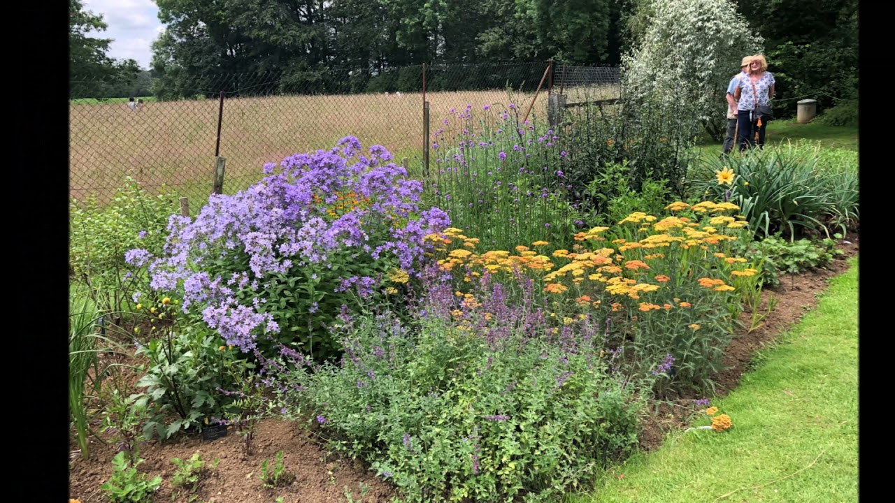Postcard from Coton Manor Gardens, July 2021