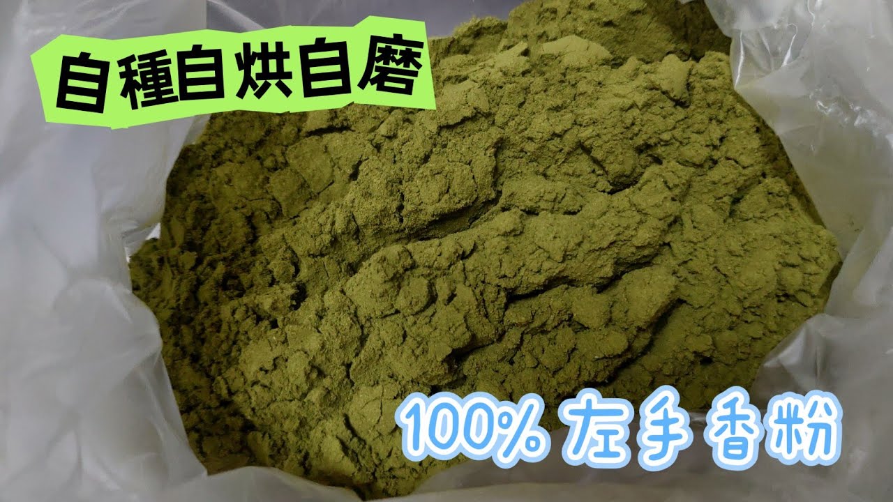 左手香研磨粉的製作 左手香粉DIY