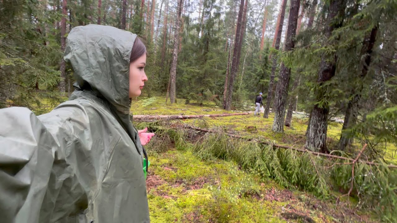 Собираем грибы 🍄‍🟫 Тихая охота прошла на ура 👍