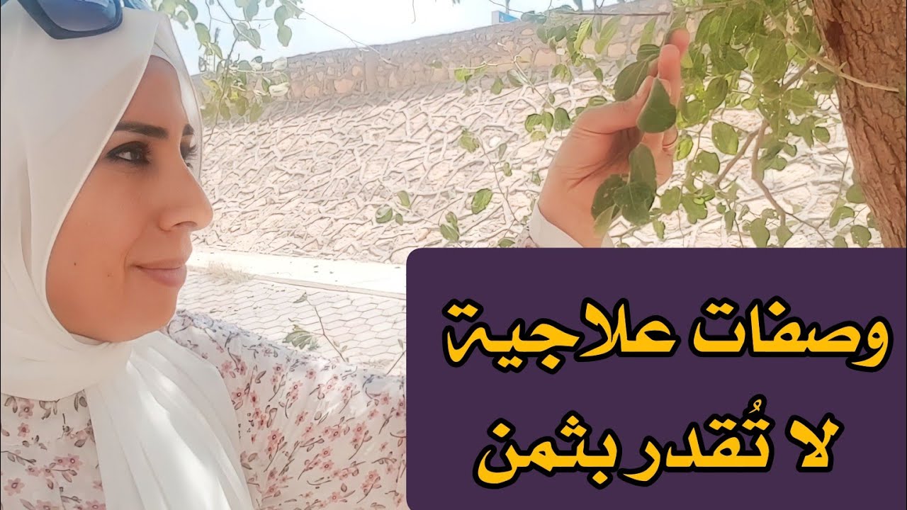 أسرار استخدام ورق السدر العجيبه فى علاج السحر و العين و النزيف !!! أسرار متغلاش عليكم ❤