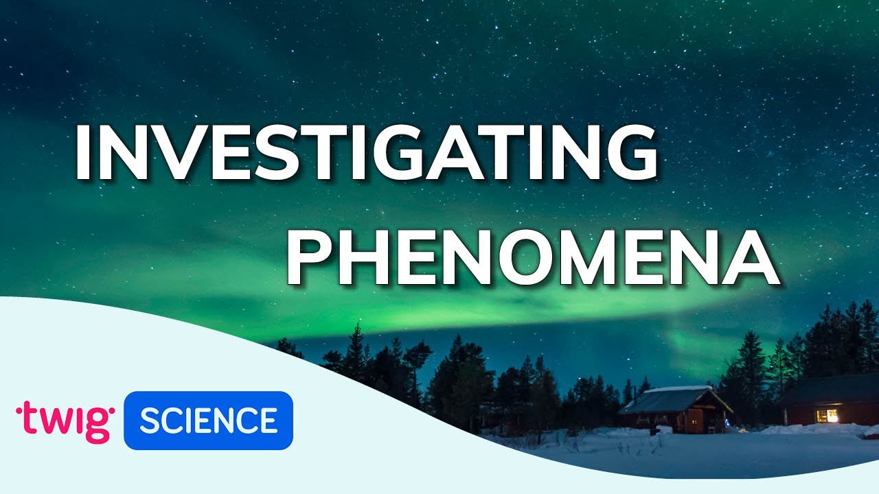 Investigating Phenomena in Twig Science