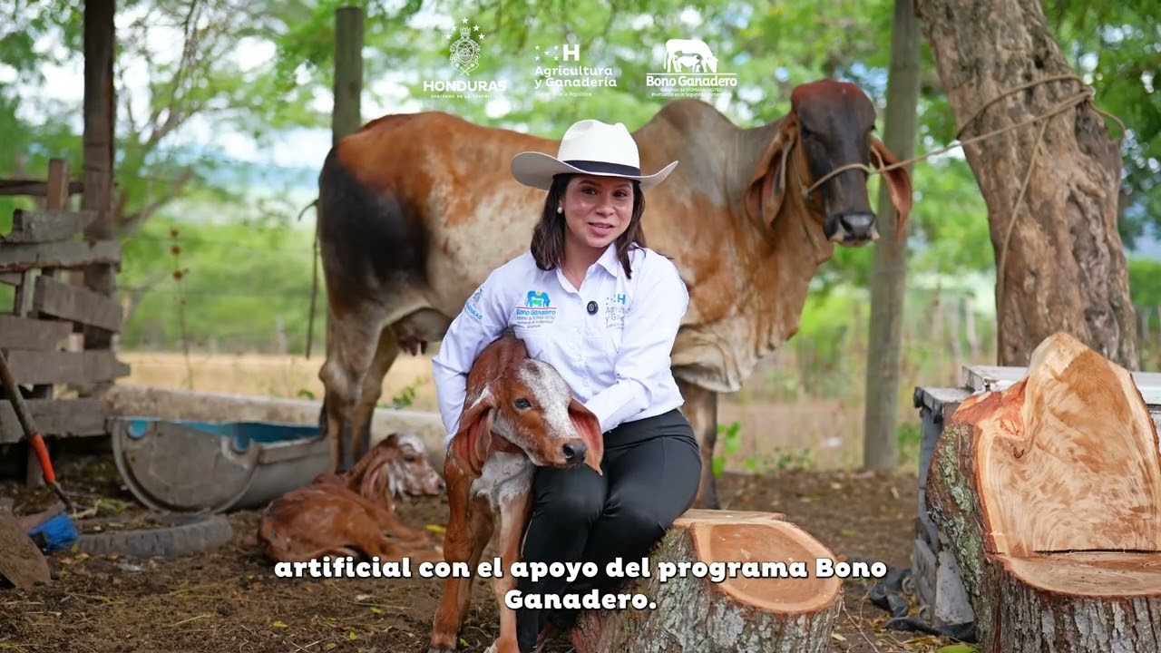 🔴¡Un nuevo comienzo para la ganadería 🐄 hondureña 🇭🇳!
