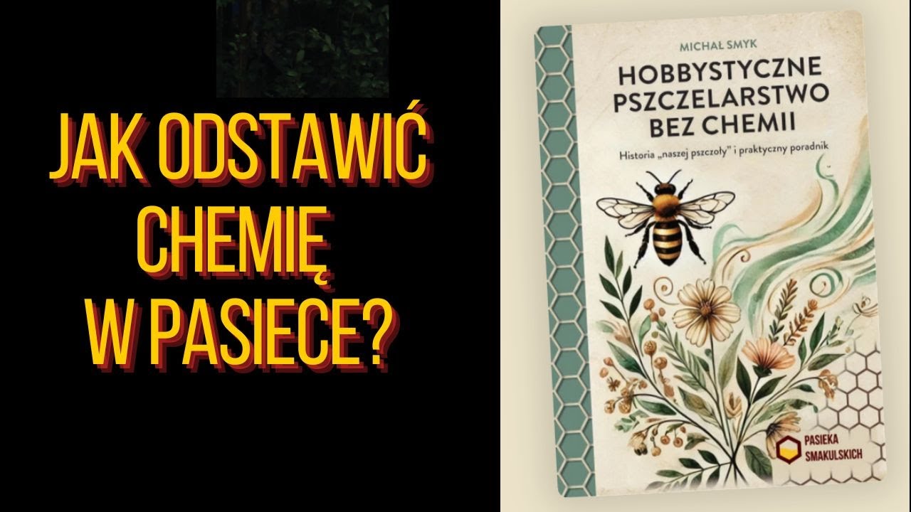 Pszczelarstwo bez chemii - wywiad z Michałem Smykiem