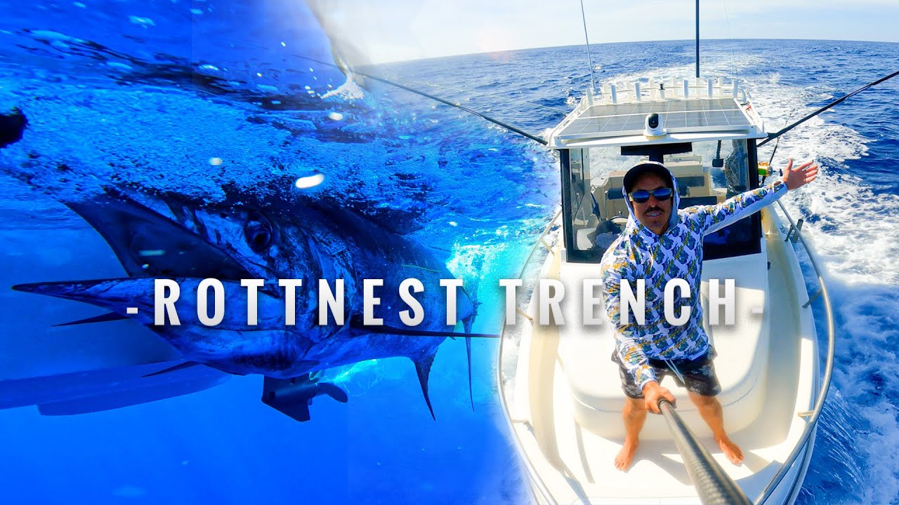 Perth Canyon Blue Marlin