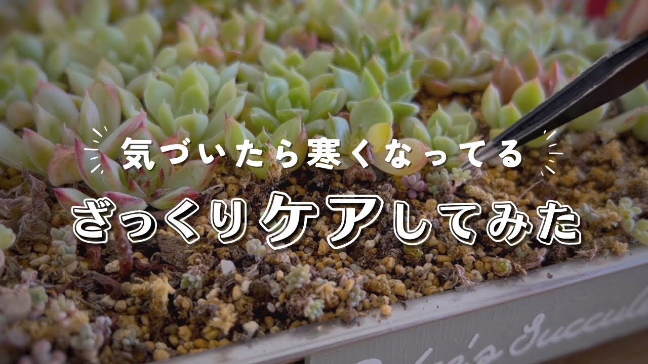 時間がない時の