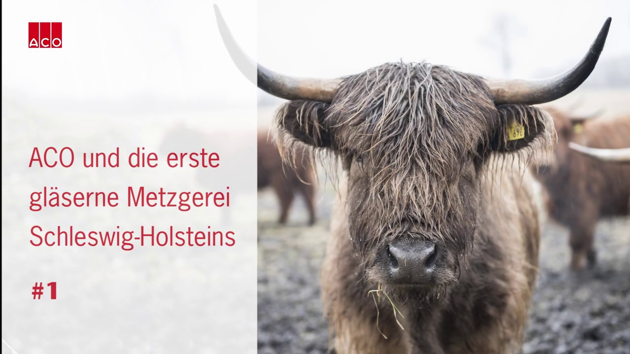 ACO und die erste gläserne Metzgerei Schleswig-Holsteins: Carstens Highlands