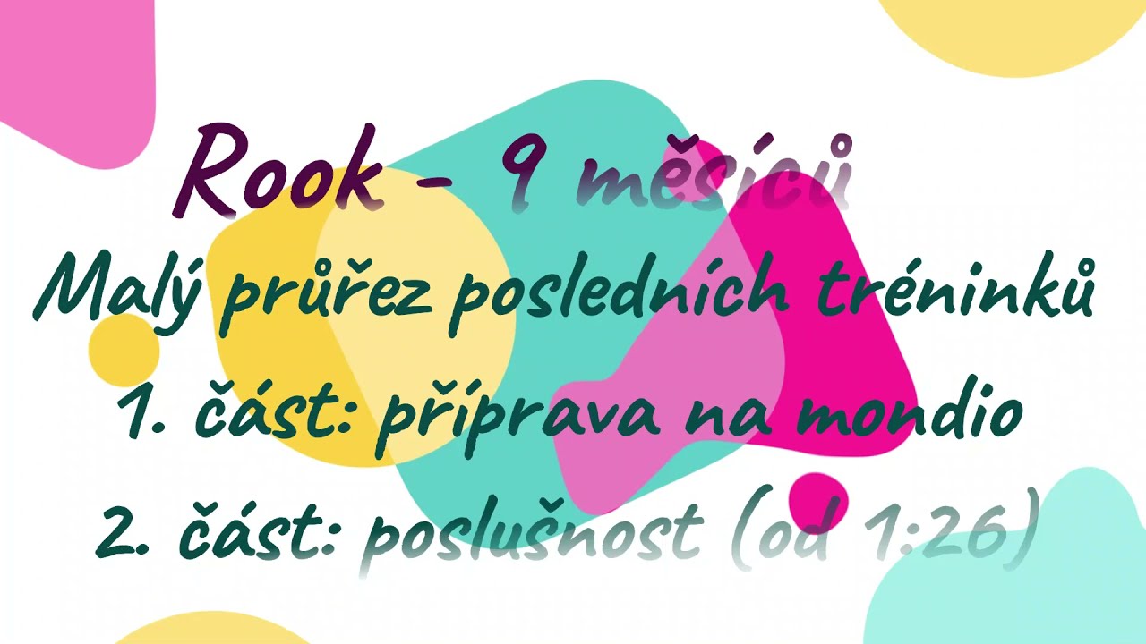 Rook, 9 months - mix of our trainings