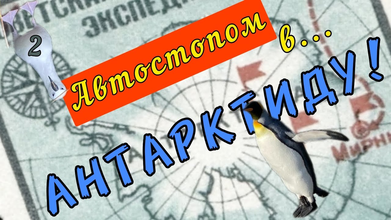 АВТОСТОПОМ В АНТАРКТИДУ  КИТЫ! ЕЩЁ КИТЫ!!!