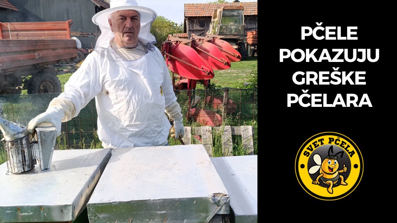 Pčele ispravile pčelara kada pogreši. Snimano 13.4. 2024. Pčelarstvo 2024