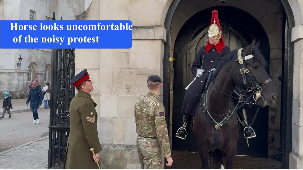 Soldiers always taking care of HORSES ❤️ #kingsguard