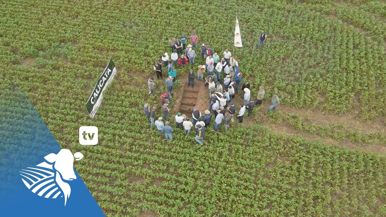 Rally de la Soja, gira histórica en suelo chaqueño | #253