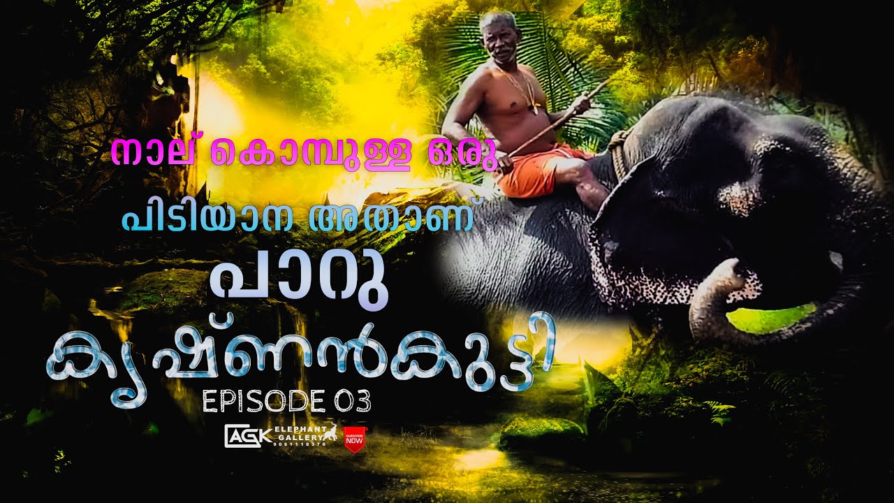 കൊമ്പില്ലേലും നാല് കൊമ്പുള്ള ഒരു പിടിയാന I കൃഷ്ണൻകുട്ടി (തമ്പി) I EPISODE 03