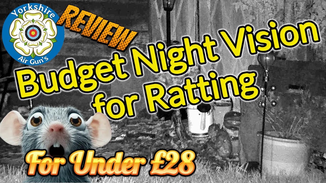 Budget Night Vision Under £28 #ratting #airrifleshooting #viralvideo #subscribe #nightvision 