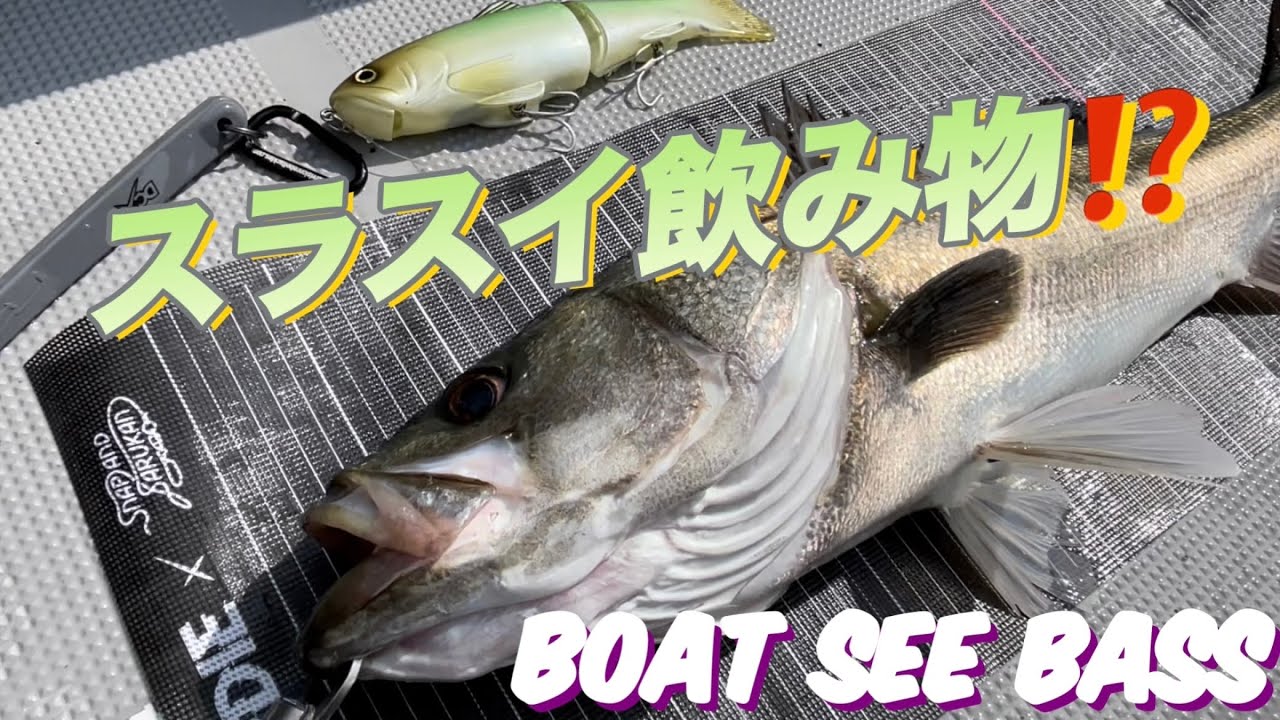 【実釣動画】スラスイ飲み物⁉️SLIDE SWIMMER250でモンスター捕獲‼️