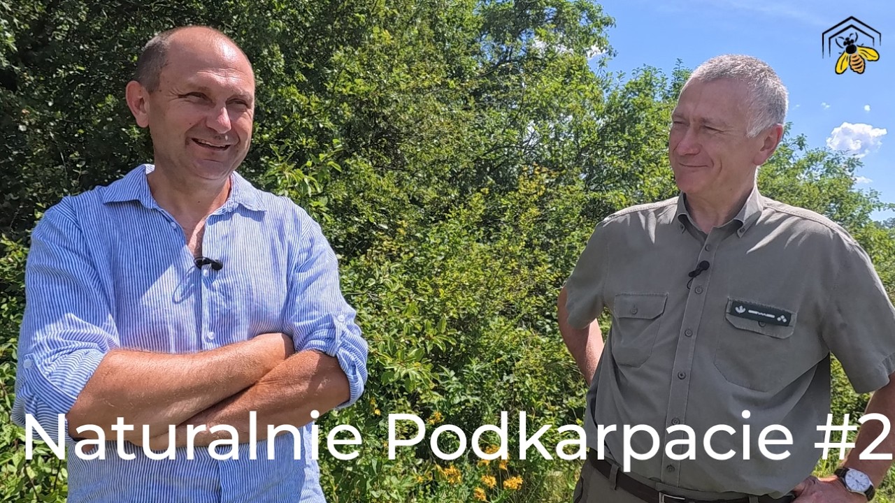 Naturalnie Podkarpacie #2/ Piotr Blajer Grzegorz Szafran / Królewskie Miody Honeycombs Grand Cru 4K