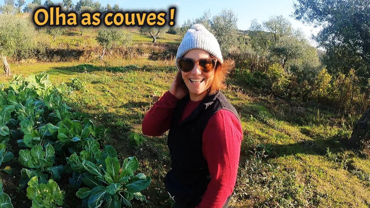 COMO ESTÁ A  NOSSA HORTA  🥬 OS PIMENTEIROS 🫑