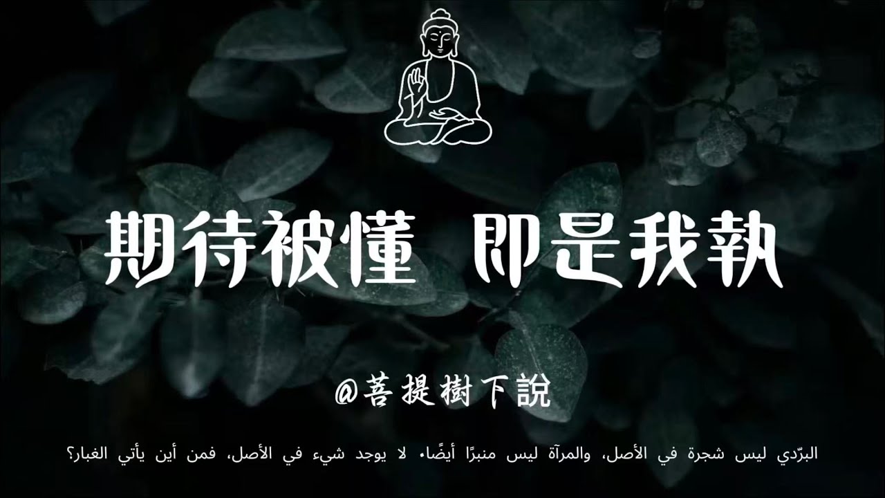 【建議收藏】破除「求懂」我執：放下被理解的執念，成為包容萬物的山谷