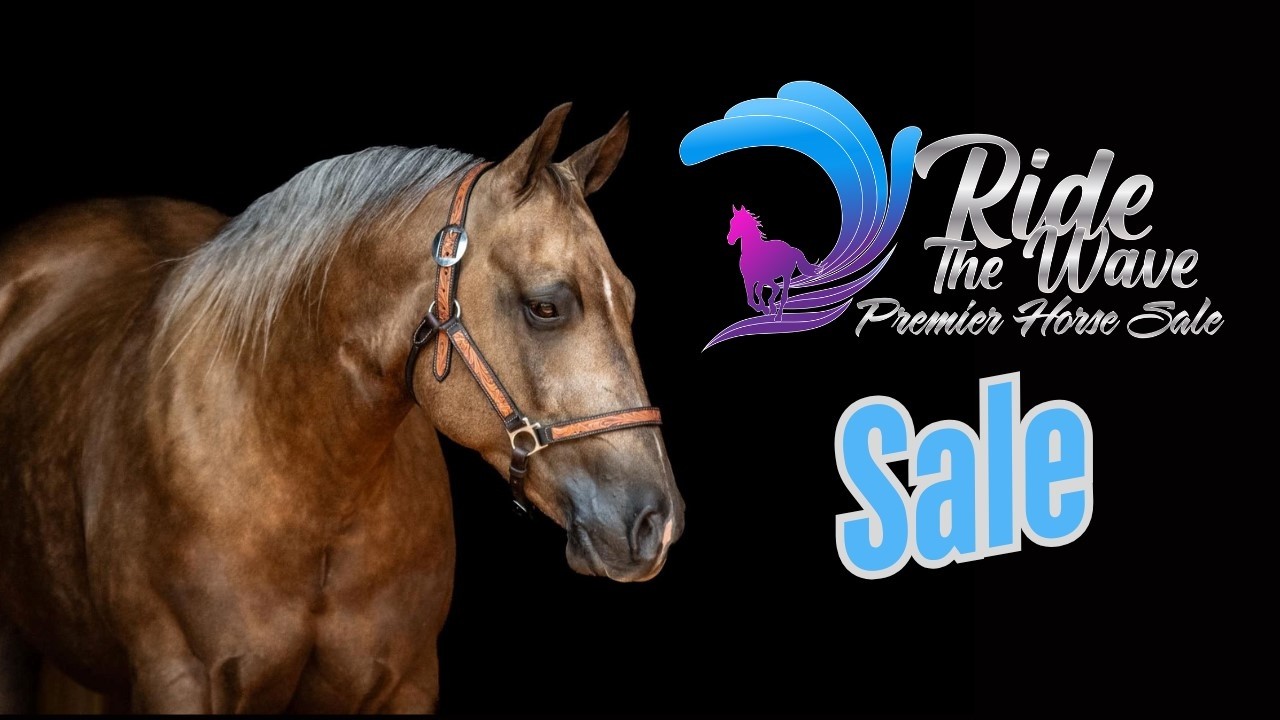 🌊 LIVE SALE &ndash; 2026 Ride the Wave Premier Horse Sale! 🌊