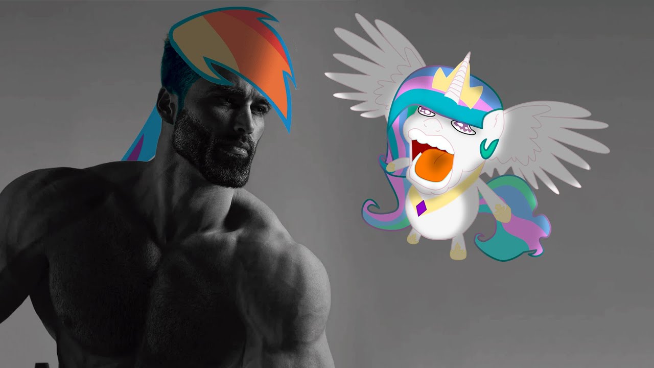 12 cosas que has hecho al ser un brony o pegasister