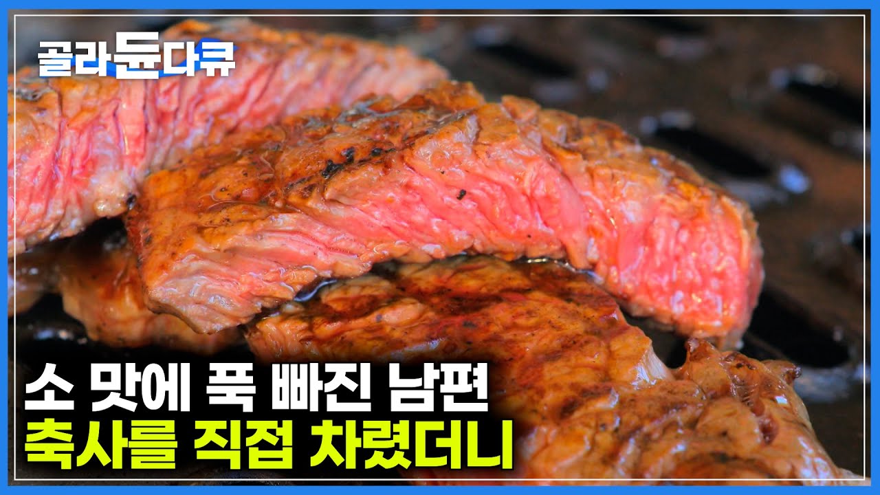 예전부터 소에 푹 빠진 남편이 일 그만두고 축사를 차렸더니｜이름도 생소한 '칡소' 키우는 맛에 푹 빠진 남편｜한국기행｜#골라듄다큐