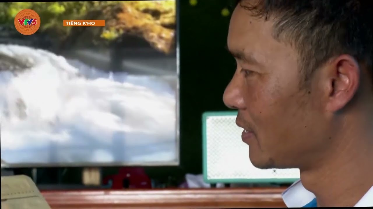 [TIẾNG CƠ HO] LIÊN KẾT LÀM CÀ PHÊ SẠCH DƯỚI CHÂN NÚI CHƯ MUI | VTV5