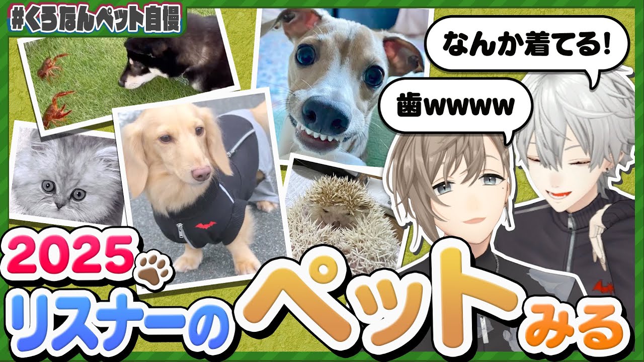 「こういう犬が一番良い」くろのわお気に入りのリスナーのペットとは？ #くろなん