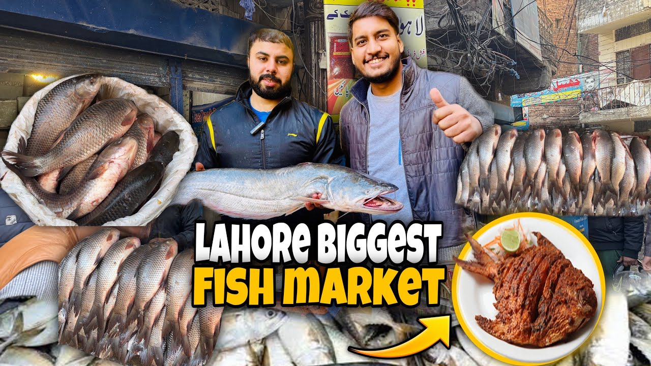Lahore Bigest Fish Market. Exploring new fish market prices. Fishing. How to get best fish in lahore