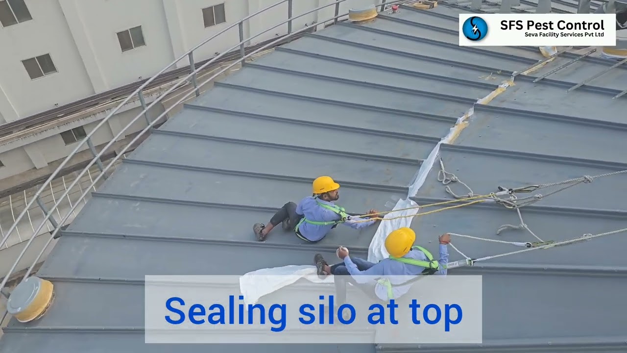 Sealing of silo, J system & PH3 gas monitoring is key to success of silo fumigation #grain#commodity