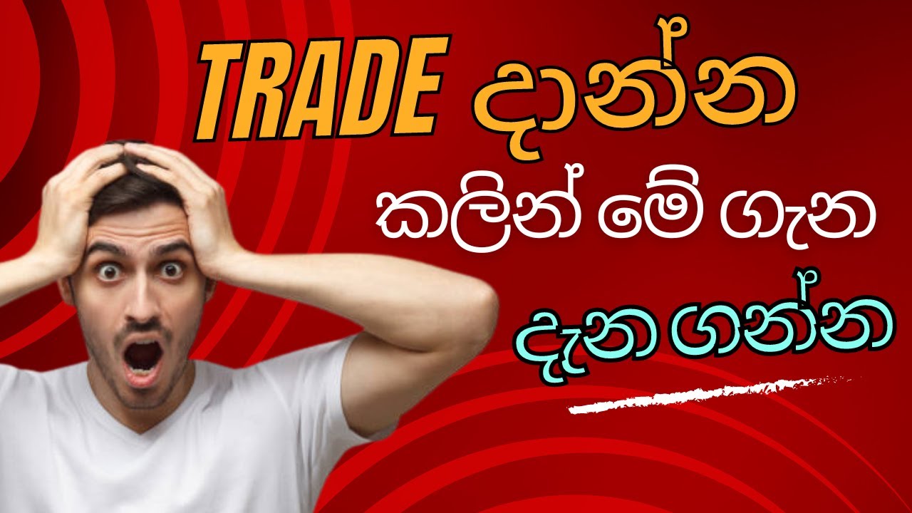 Forex Lot Sizes Explained | Choosing the Right Size for Optimal Trading | Forex Trading Beginners