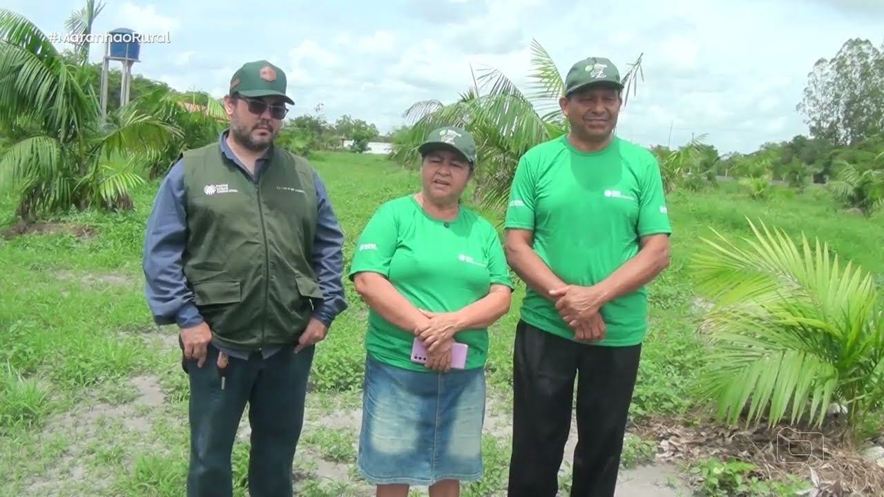 EM CHAPADINHA, CASAL TRANSFORMOU A REALIDADE DA PROPRIEDADE E ALCANÇOU MAIS DO QUE PRODUTIVIDADE