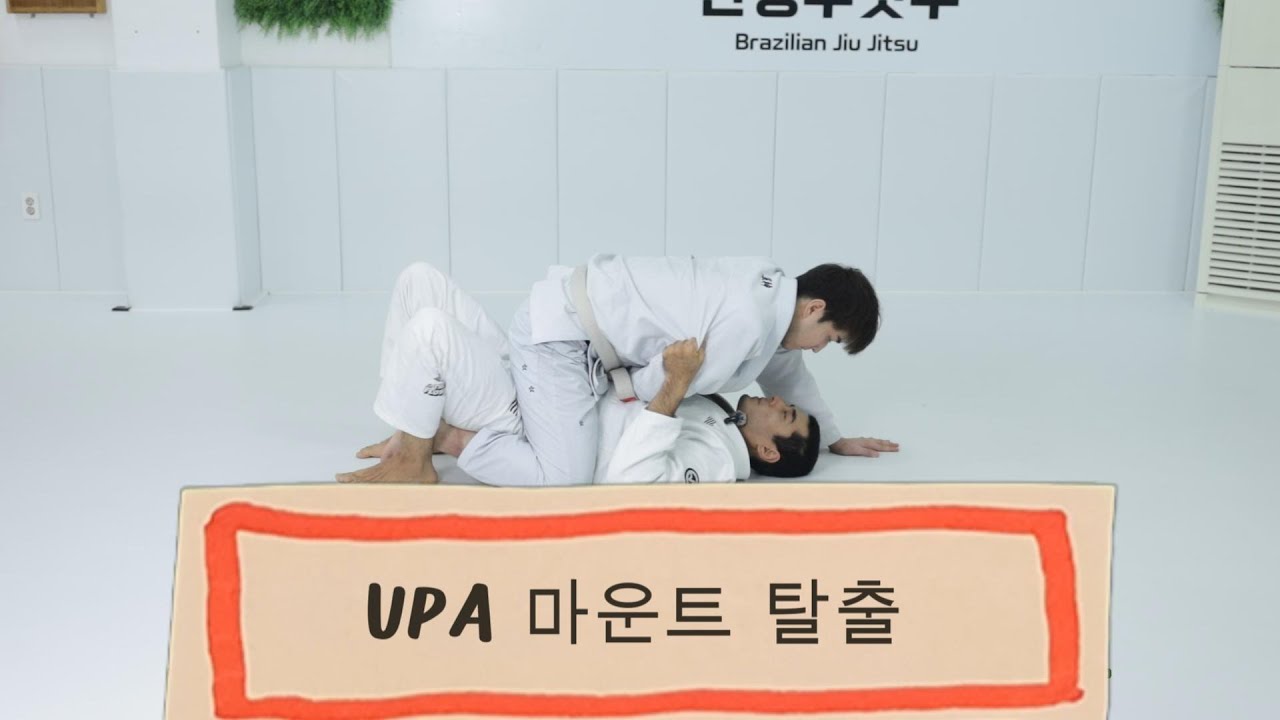 Upa 마운트 탈출 주짓수 영상