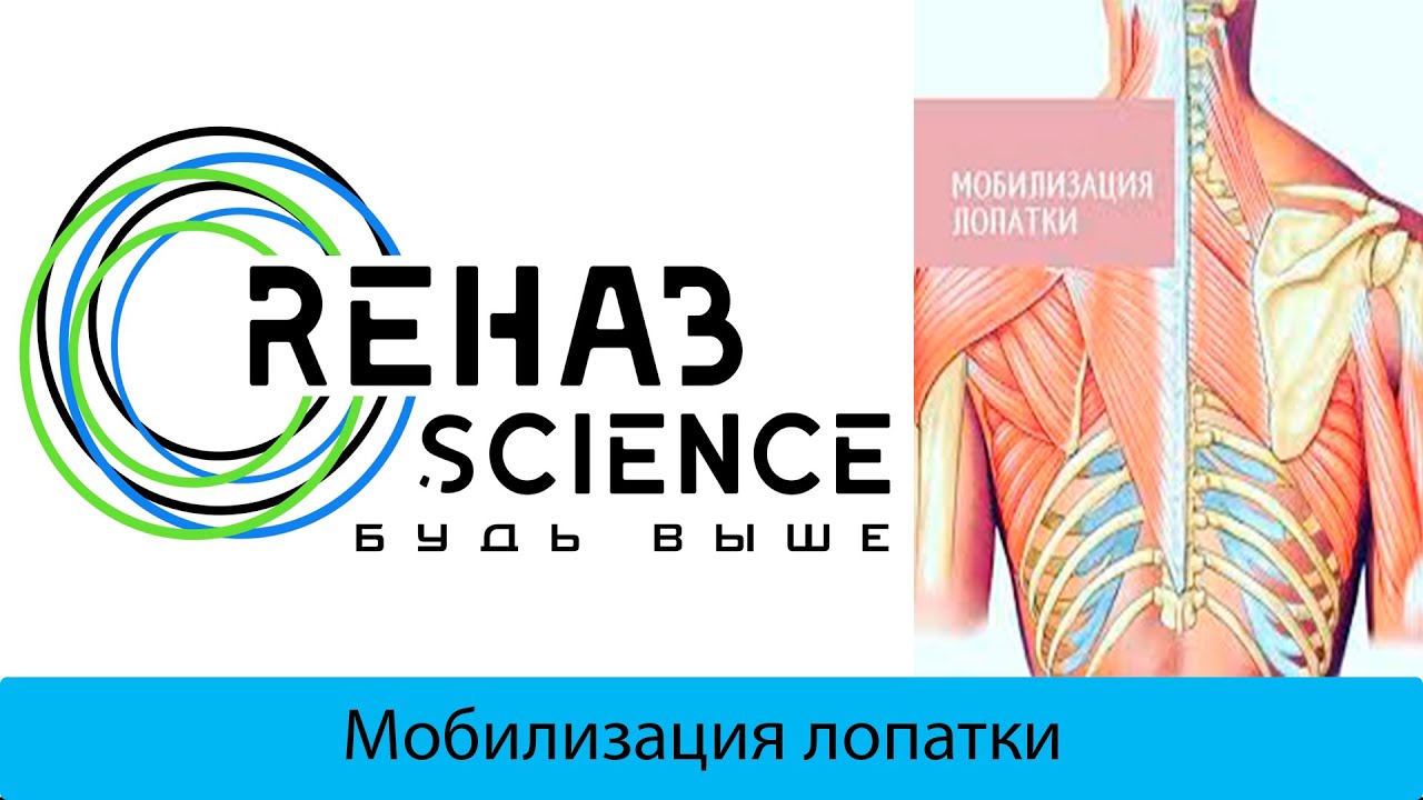 Мобилизация лопатки