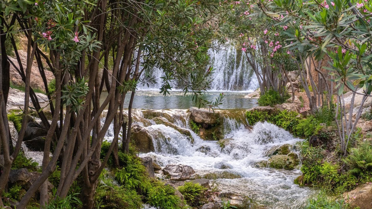 Descobreix els parcs naturals de la Comunitat Valenciana #MediterraniEnAcció