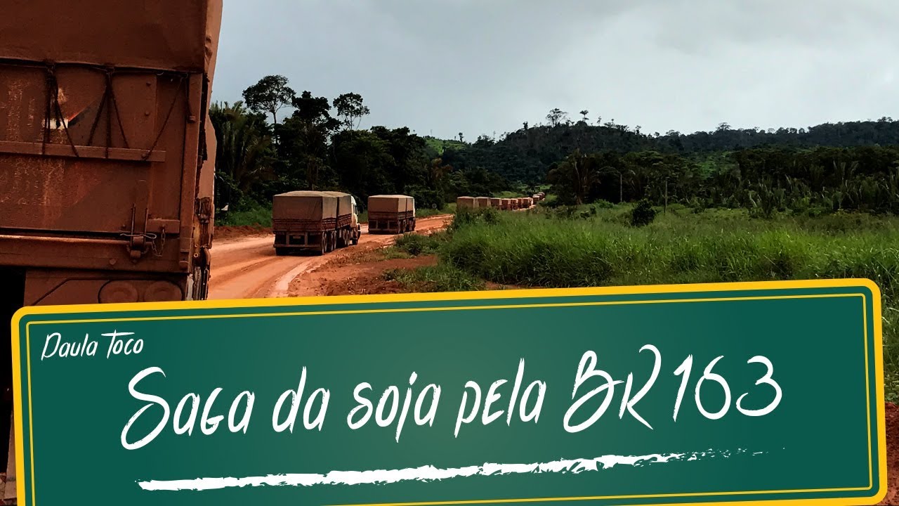 Saga da soja pela BR 163