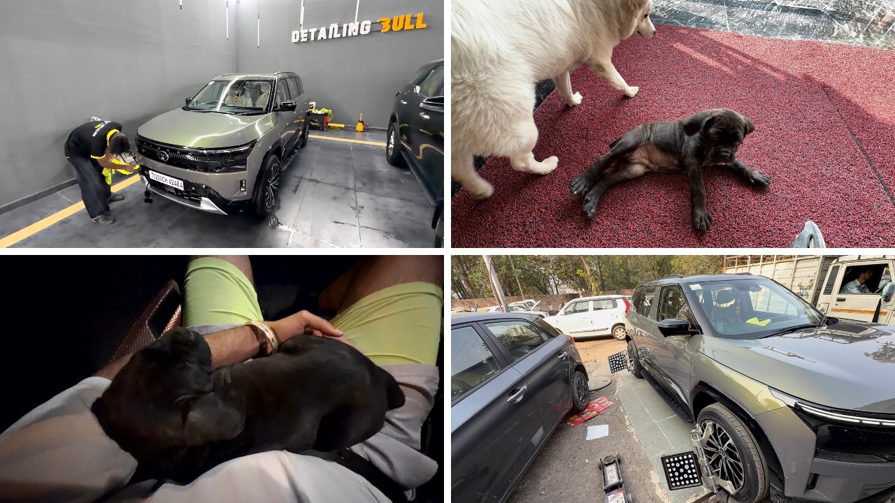 Aaj finally car mil gayi, par delivery ke baad tension badh gayi aur naya dog bhi bimar...🚗🐶😟 || 135